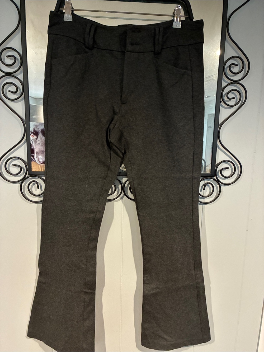 torrid Charcoal Boot-Cut Ponte Pants